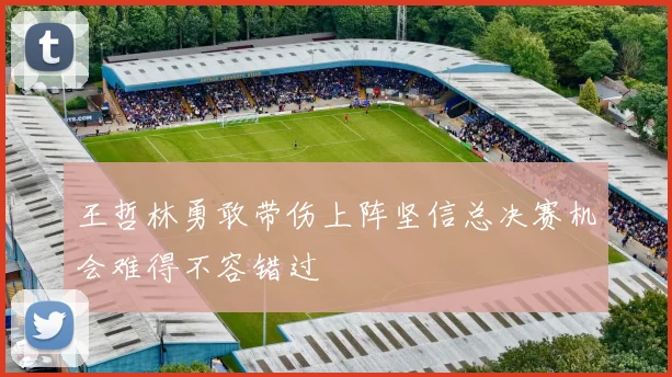 王哲林勇敢带伤上阵坚信总决赛机会难得不容错过